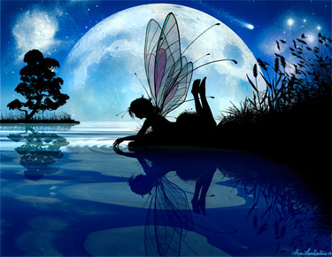 the Art of Liza Lambertini