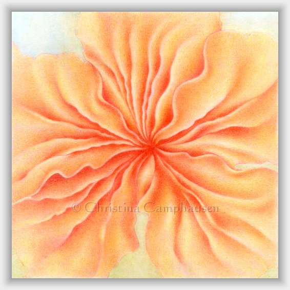 the Art of Christina Camphausen