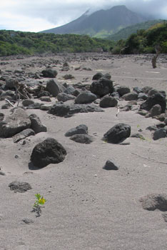 Souffrière-Hills-Volcano photo by Catherine Bastedo