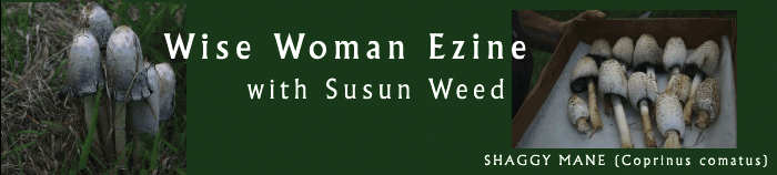 Wise Woman Ezine with Susun Weed