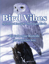 Bird Vibes