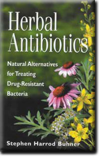 Herbal Antibiotics, Natural Alternatives for Treating Resistant Bacteria