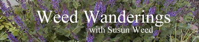Weed Wanderings Herbal eZine with Susun Weed