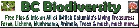 BC Biodiversity banner