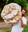 photo: Alan Muskat with huge mushroom
