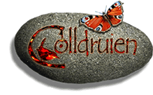 colldruien logo