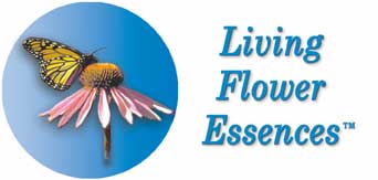 Living Flower Essences logo