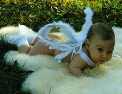 photo: baby on lambskin with angel wings