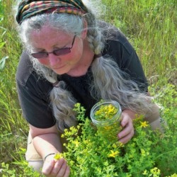 Linda Conroy is a bioregional, wise woman herbalist, educator,wildcrafter, permaculturist and an advocate for women's health.