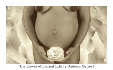 Pregnant Earth Art by Barbara Getrost