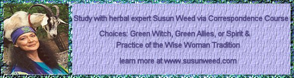 Herbal Medicine correspondence courses with Susun Weed