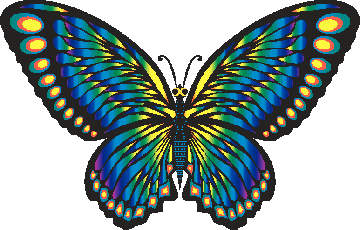 big beautiful butterfly link to menopause-metamorphosis site
