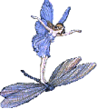 herbal apprentice fairy