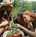 Herbal Students at the Wise Woman Center, Woodstock NY