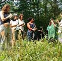 Herbal Students at the Wise Woman Center, Woodstock NY